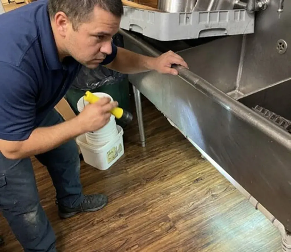 Restaurants pest control in Tallahassee, FL