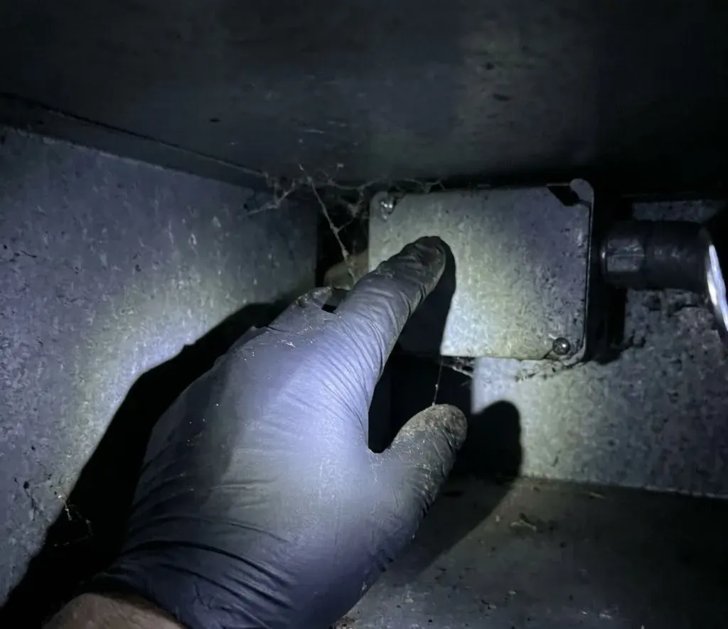 Bats in the Attic: Florida 16 April to 14 August Rule
