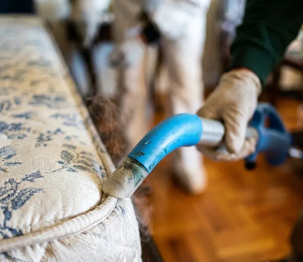 Bed Bugs in the August Changeover: a Landlord Plan