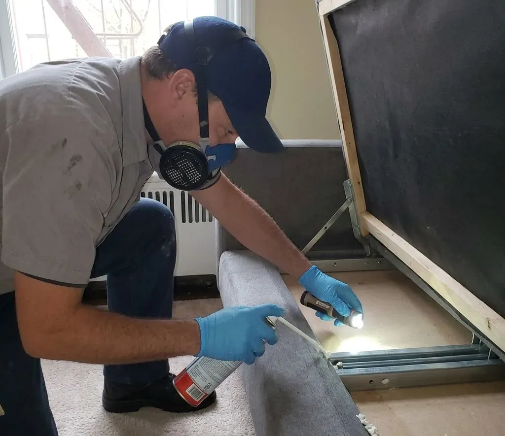 Bed Bug Treatment service in Tallahassee, FL