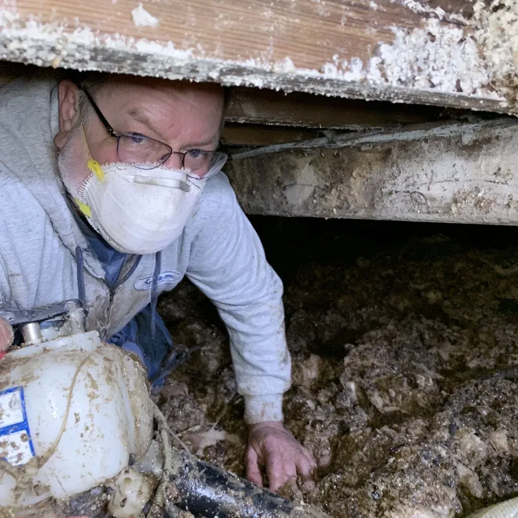 Twenty Percent Wood Moisture, and Why It Creeps Up Here